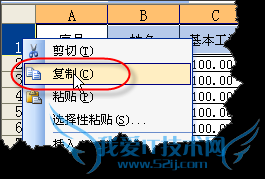 EXCEL中如果利用宏和VBA制作工资条
