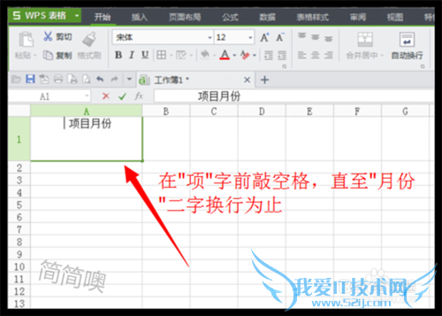 Excel中怎样绘制斜线表头?