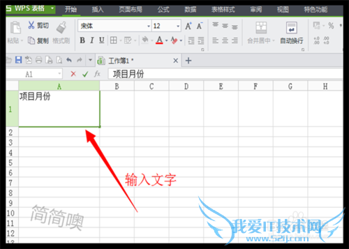Excel中怎样绘制斜线表头?