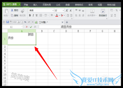Excel中怎样绘制斜线表头?