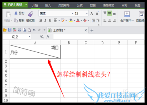 Excel中怎样绘制斜线表头?