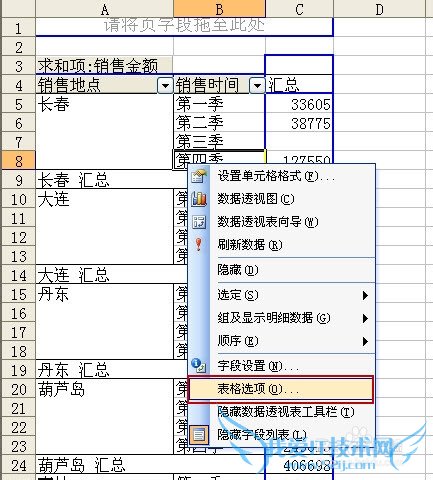 Excel数据透视常用技巧(一)