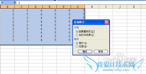 怎样在Excel中把单元格变成图片