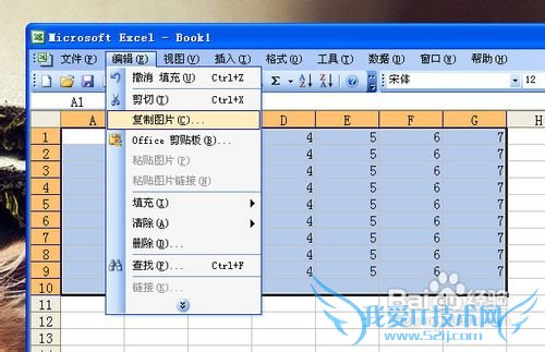 怎样在Excel中把单元格变成图片