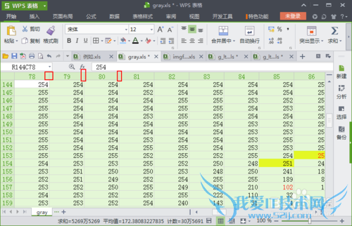 如何手动批量调整Excel表格的行高与列宽