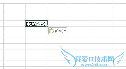Excel中如何使用DSUM函数?