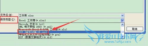 Excel文件怎么转换为CSV格式