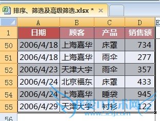 Excelɡ[20]߼ɸѡô-1