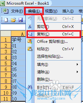Microsoft Office 2003 Excel把表格转换成图片