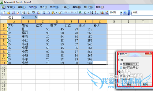 Microsoft Office 2003 Excel把表格转换成图片