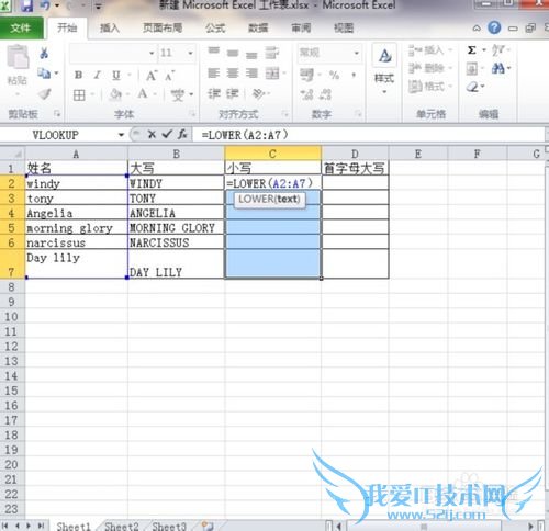 excelݴ[6]ӢĴСдת