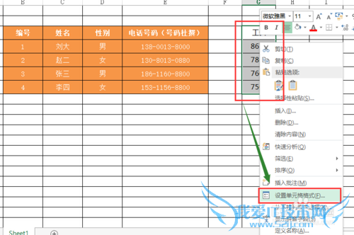 怎么把Excel表格中的数据隐藏还看不出来