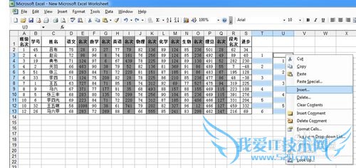如何使用excel快速生成分数条