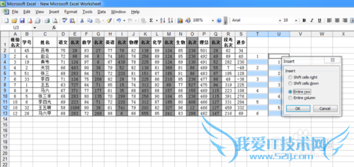 如何使用excel快速生成分数条