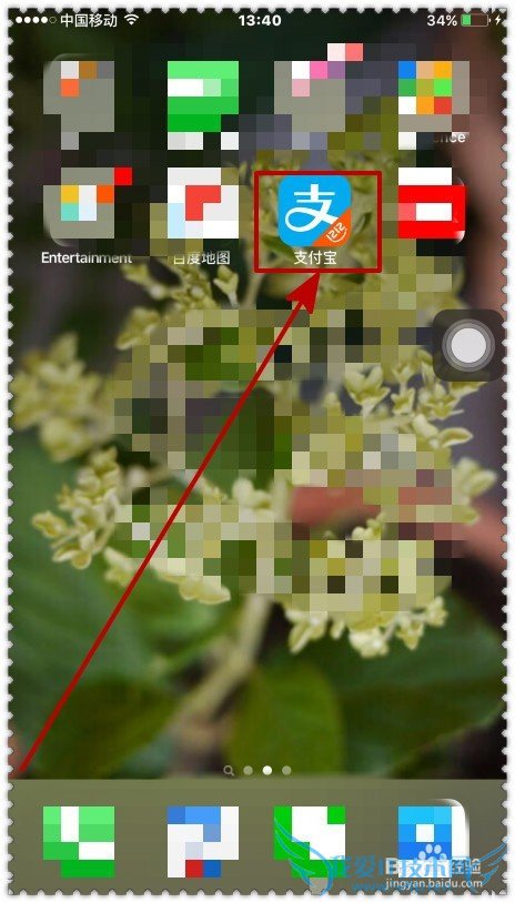 怎样通过支付宝查看和管理信用?