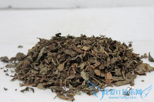 鱼腥草是个宝,你用过吗