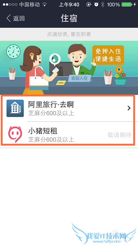 支付宝芝麻信用分怎么查看 芝麻信用分怎么用