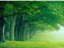 你符合解除支付宝绑定的条件吗