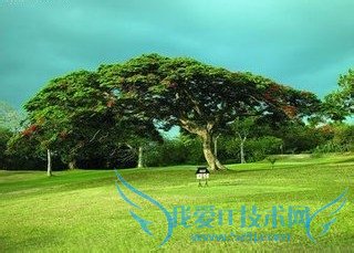 你符合解除支付宝绑定的条件吗