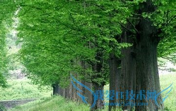 你符合解除支付宝绑定的条件吗