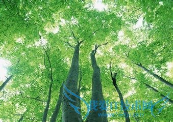 你符合解除支付宝绑定的条件吗