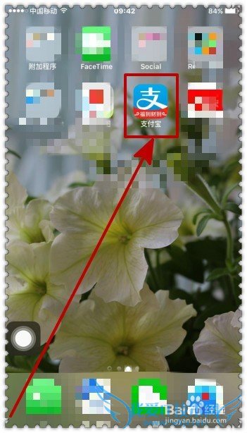 如何通过支付宝查询加油卡消费明细?