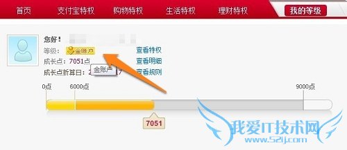 支付宝转账怎么收费