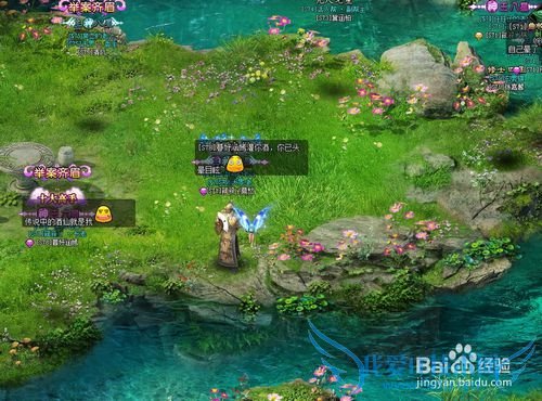 �����¿�����������