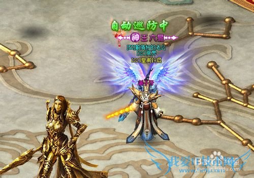 �����¿�����������