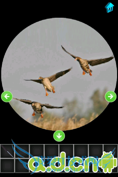 100次逃脱第四关攻略