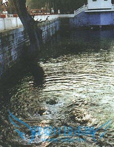 ��ʤ��֮�ξ�����