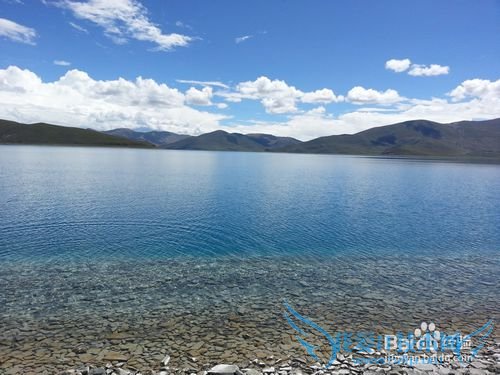 �����ǻ�ȥ����