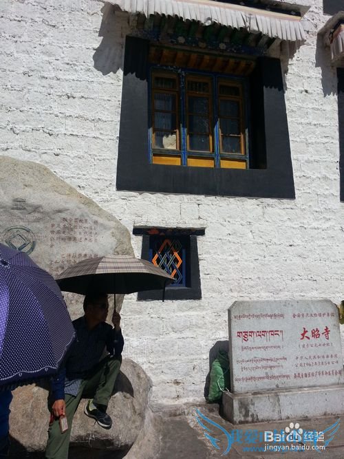 �����ǻ�ȥ����