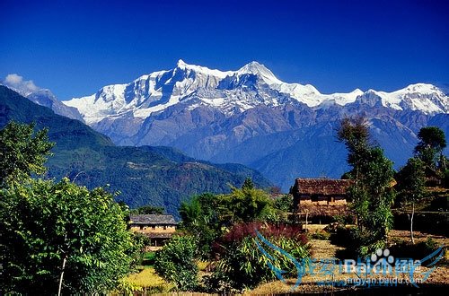 ����ѧ����ҵ�ι���