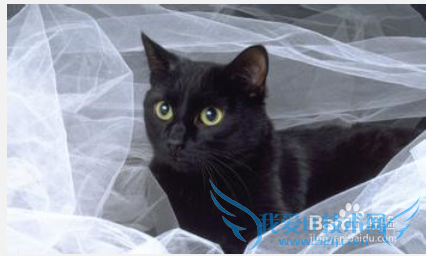 ����������ѧ���ԣ�8�³��׶Σ�