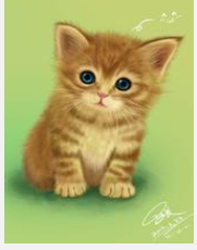 ����������ѧ���ԣ�8�³��׶Σ�