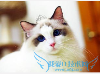 ����������ѧ���ԣ�8�³��׶Σ�