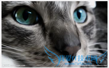 ����������ѧ���ԣ�8�³��׶Σ�