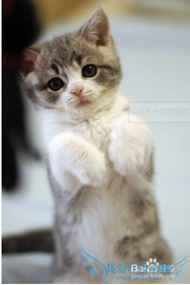 ����������ѧ���ԣ�8�³��׶Σ�