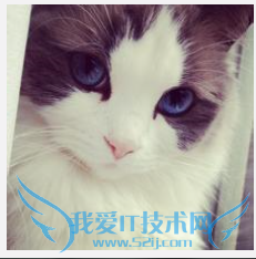 ����������ѧ���ԣ�8�³��׶Σ�