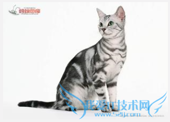 ����������ѧ���ԣ�8�³��׶Σ�