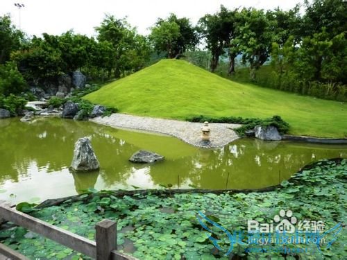 4种最独特的花园设计攻略