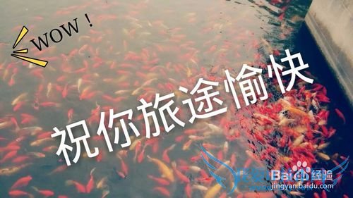 ���й��Ժ���վ֮�������������