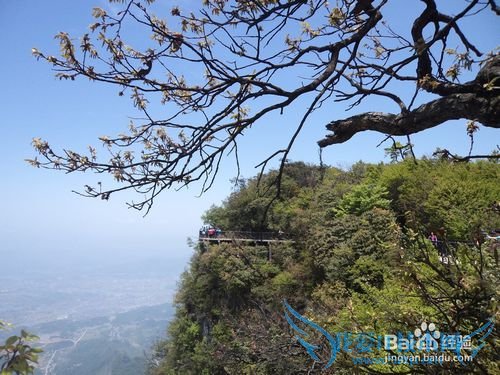 如何正确的游张家界之——天门山