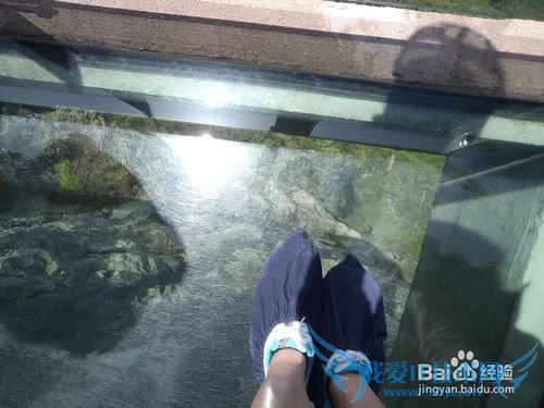 如何正确的游张家界之——天门山