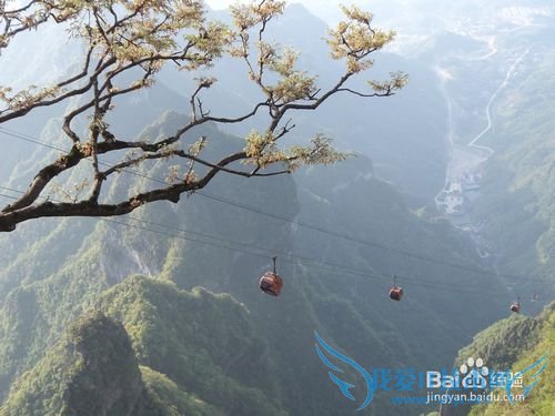 如何正确的游张家界之——天门山