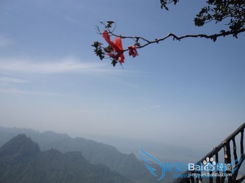 如何正确的游张家界之——天门山