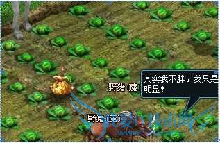 ����װ����Դ�������