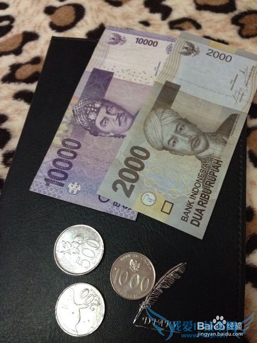 ���嵺���л���֪ʶ