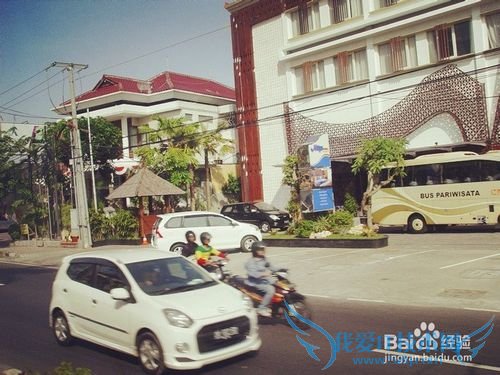 ���嵺���л���֪ʶ